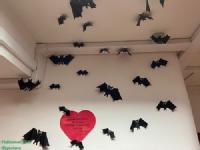 Black bats