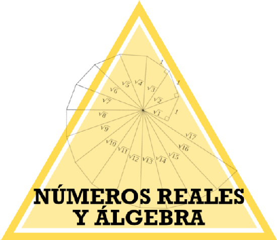 Números Reales y algebra